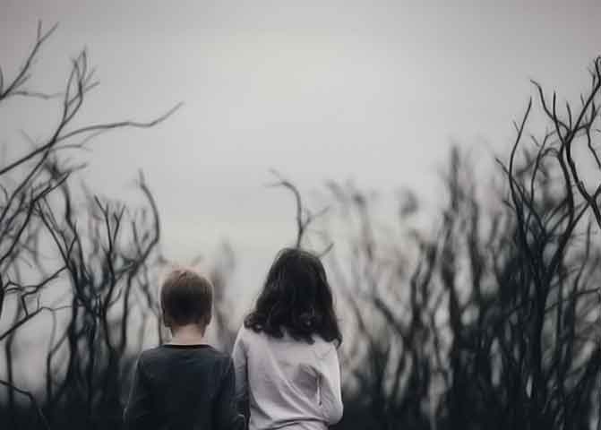 用了就离不开的器测压文章